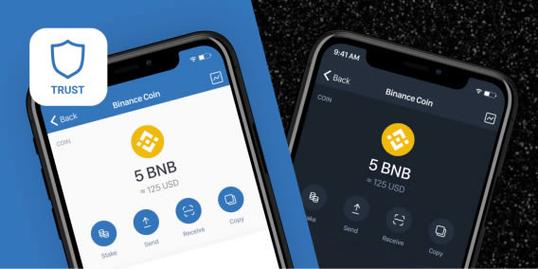 确保下载最新官方版Trust钱包的方法与技巧，你掌握了吗？