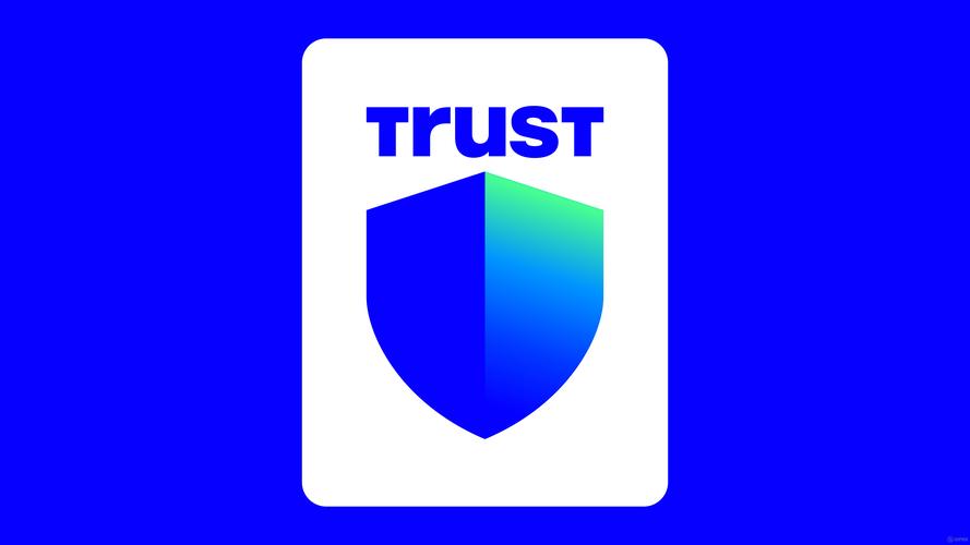 在Trust Wallet进行资产投资管理的考量与操作要点解析